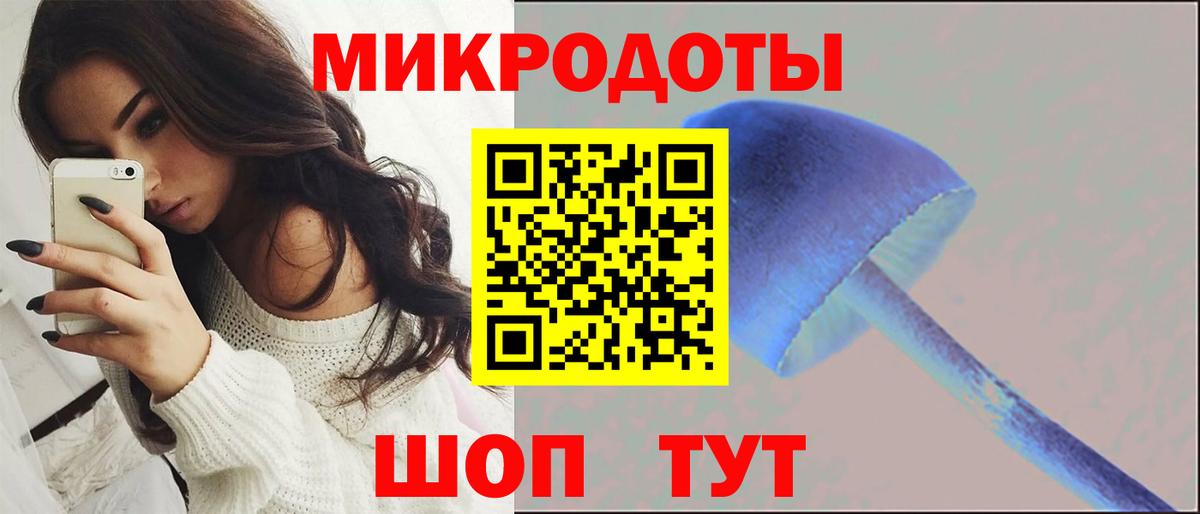 Лиски  Псилоцибиновые грибы мицелий  Вход с VPN  Псилоцибиновые грибы GOLDEN TEACHER 