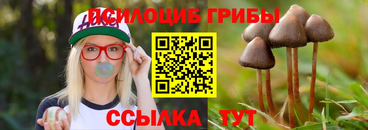 Псилоцибиновые грибы Cubensis Лиски